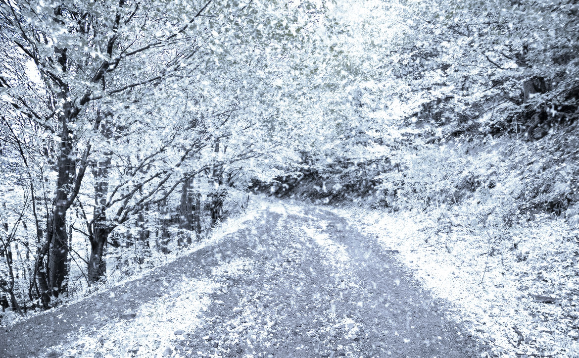 【人気ダウンロード！】 雪 地面 フリー素材 858386雪 地面 フリー素材