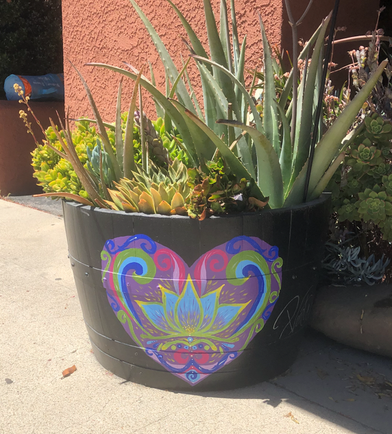 Guided Tours Paso Robles Downtown