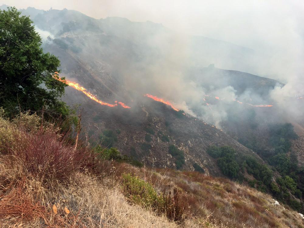 Dolan Fire Now Over 110,000 Acres, 26 contained • Paso Robles Press