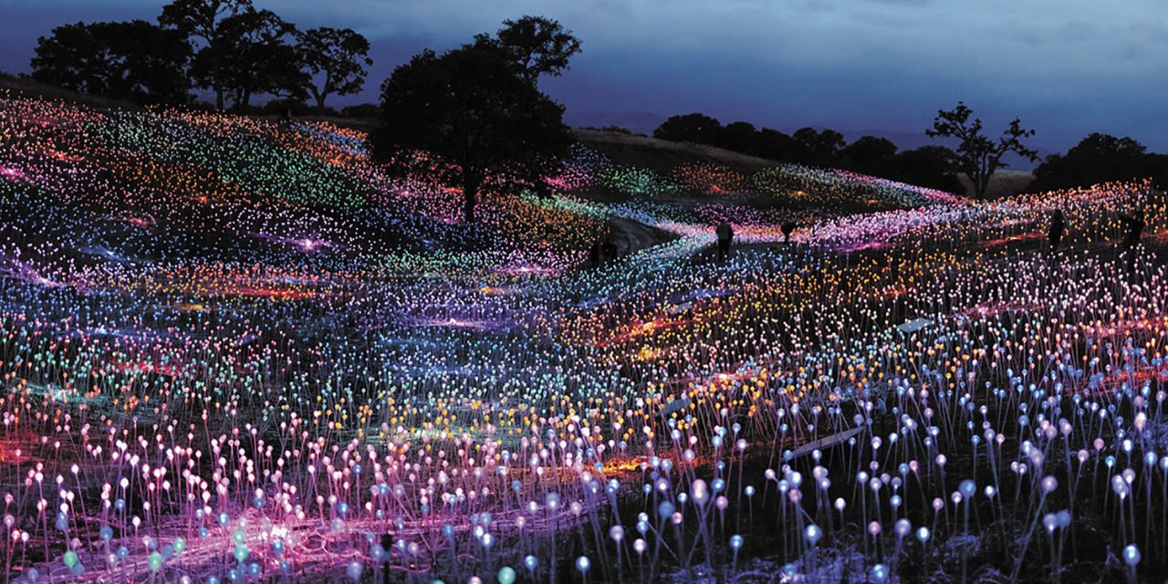 Bruce Munro Field of Light at Sensorio Lends Support to Local Food