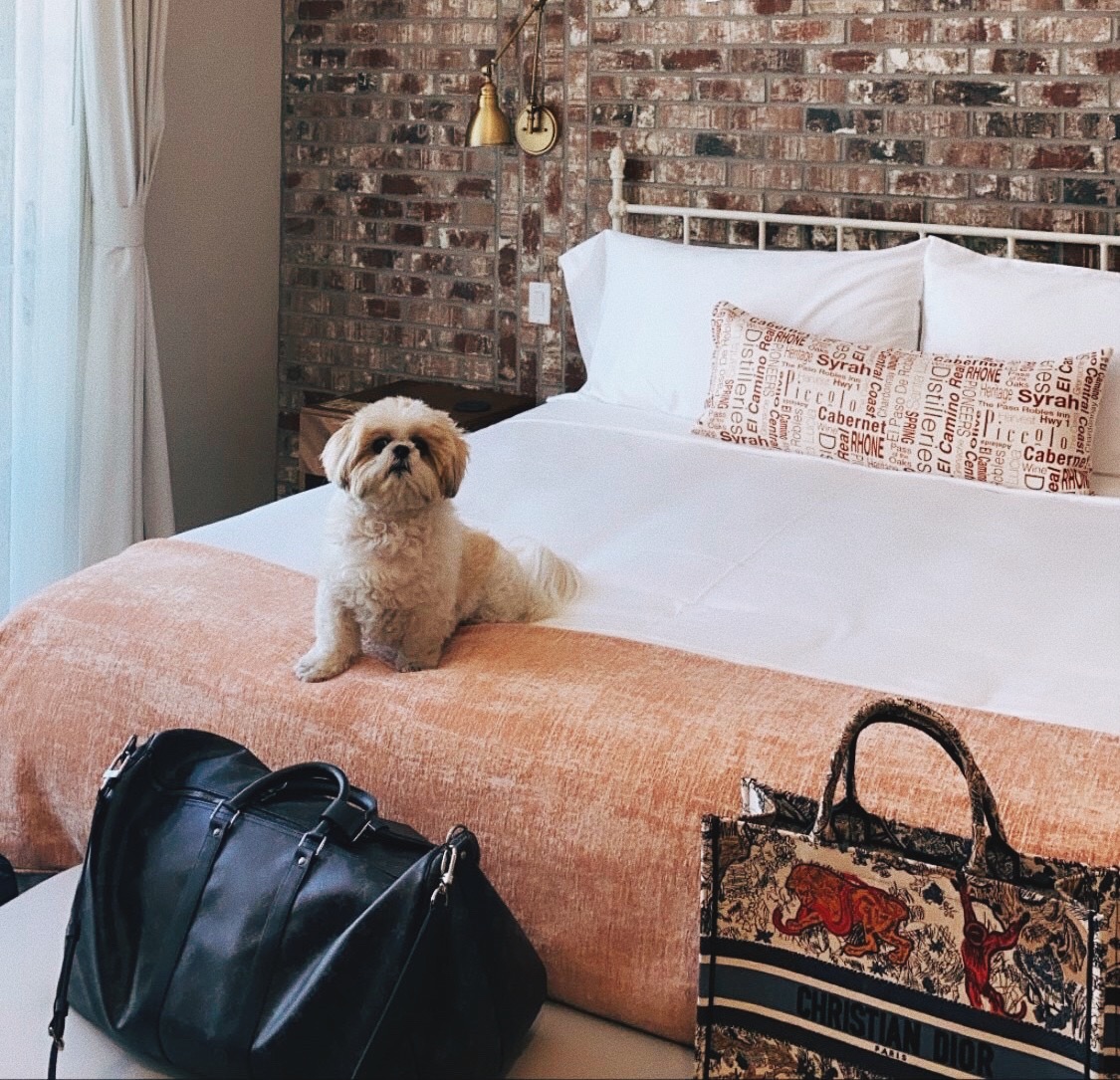 DogFriendly Hotels in Paso Robles Paso Robles Wine Country Alliance