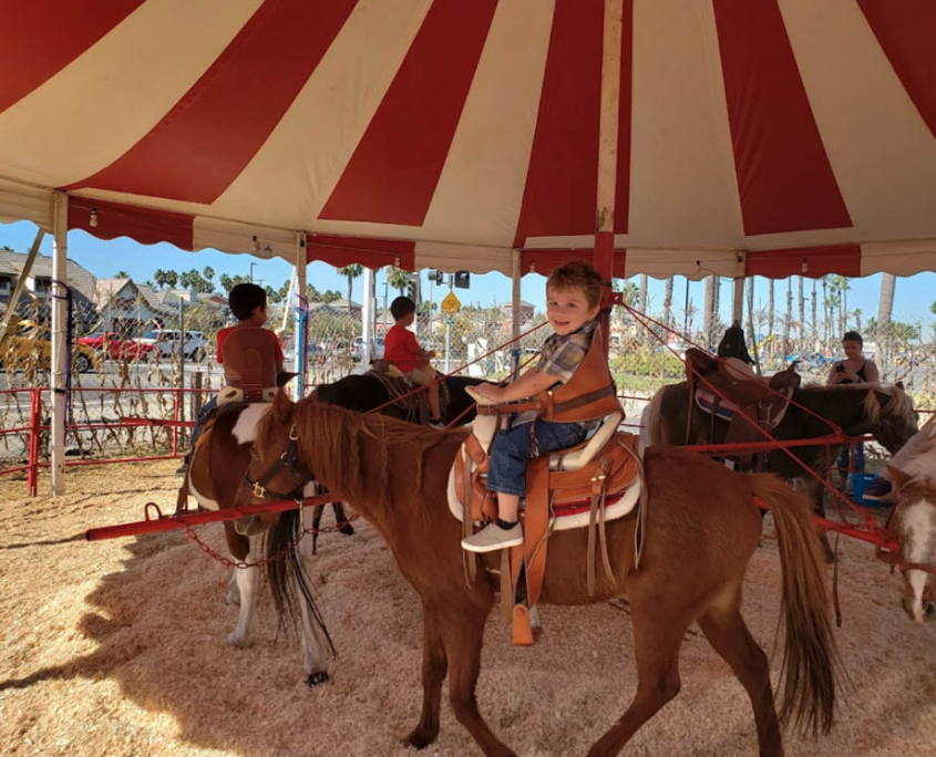 Pa's Pumpkin Patch Pumpkins, Rides, Games & Fun for the whole family