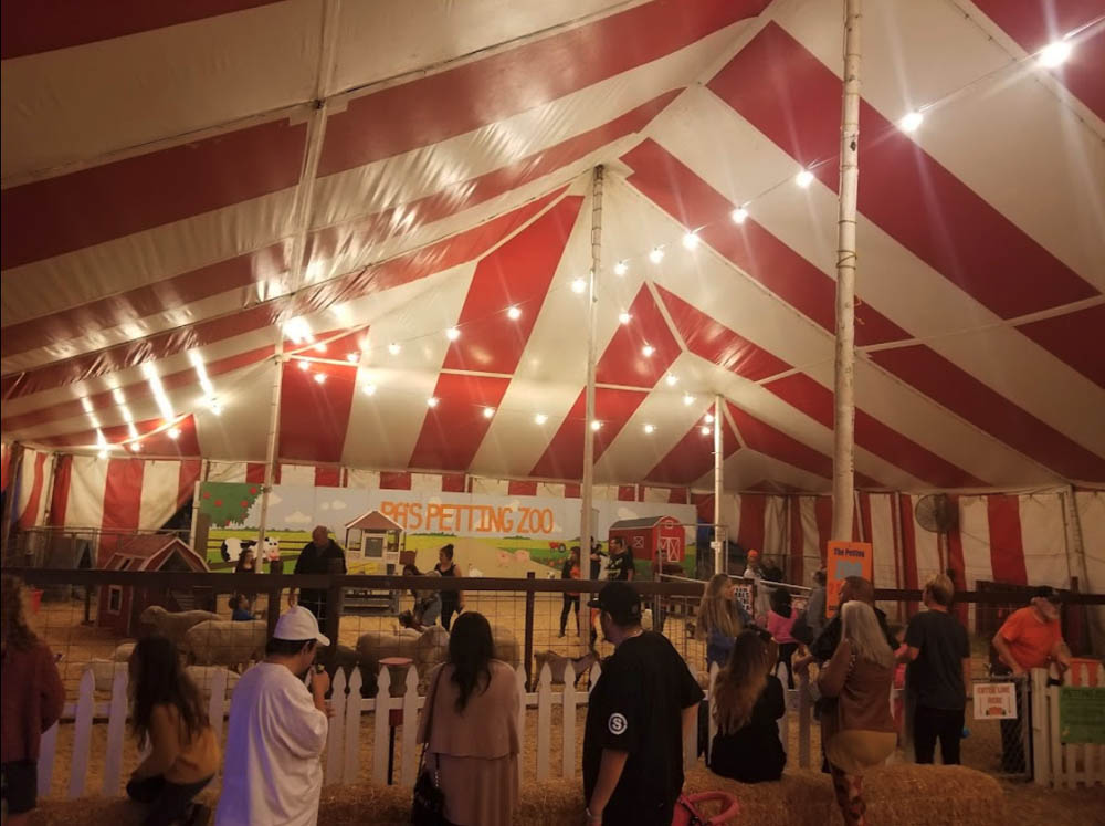 Pa's Pumpkin Patch Pumpkins, Rides, Games & Fun for the whole family