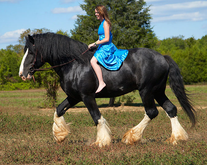 Mag Passage Creek Shires Farm