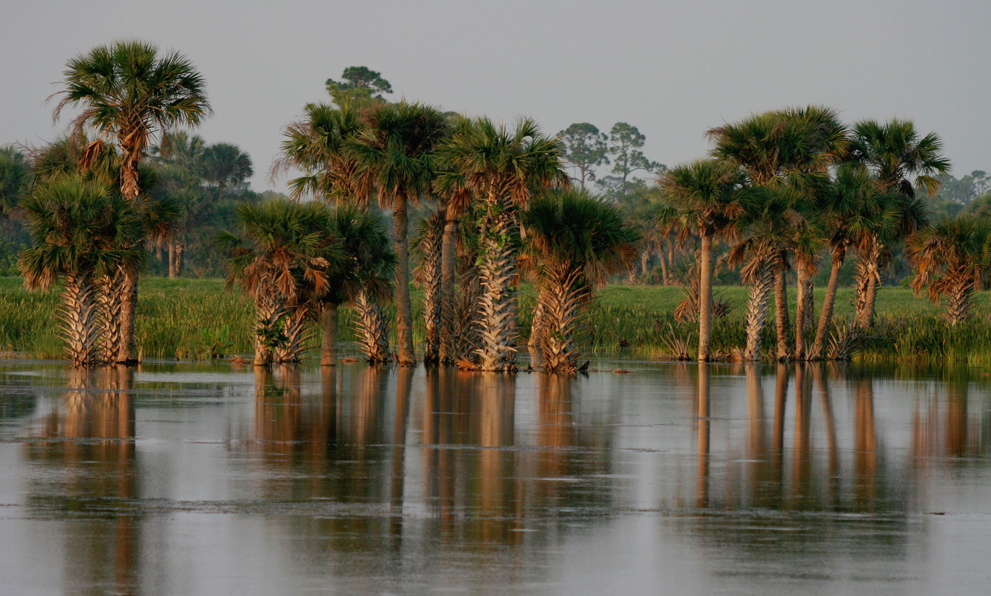 Lakes at Stono Ferry Passarella & Associates, Inc.