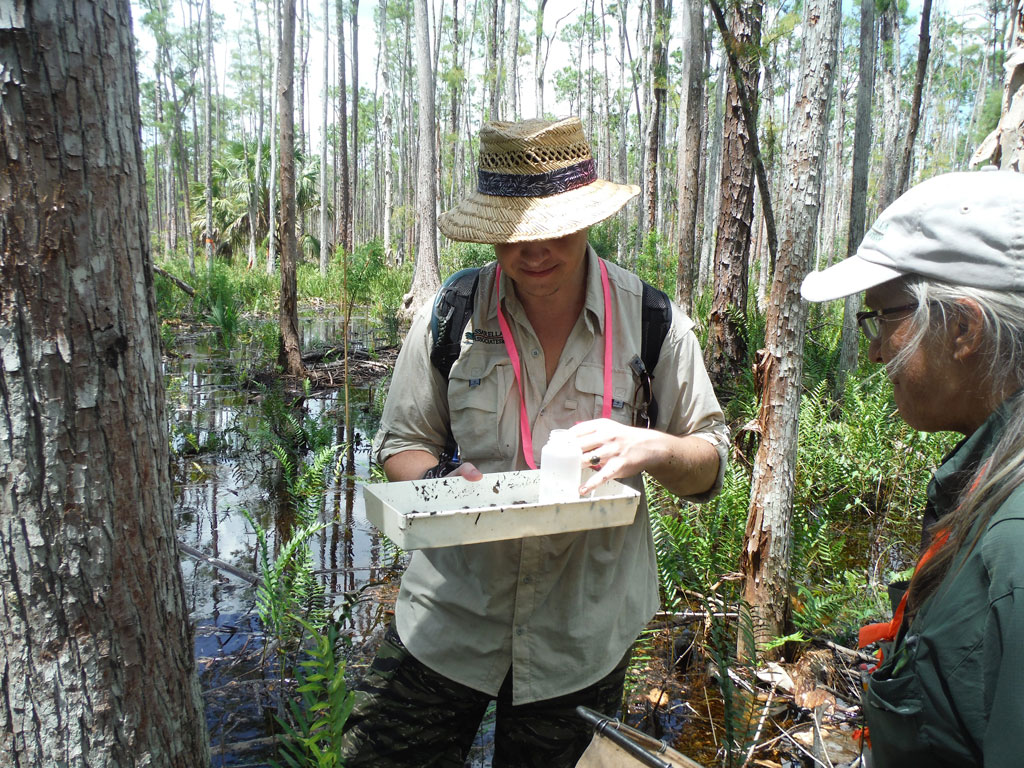 Certified Lab Services Passarella & Associates, Inc.