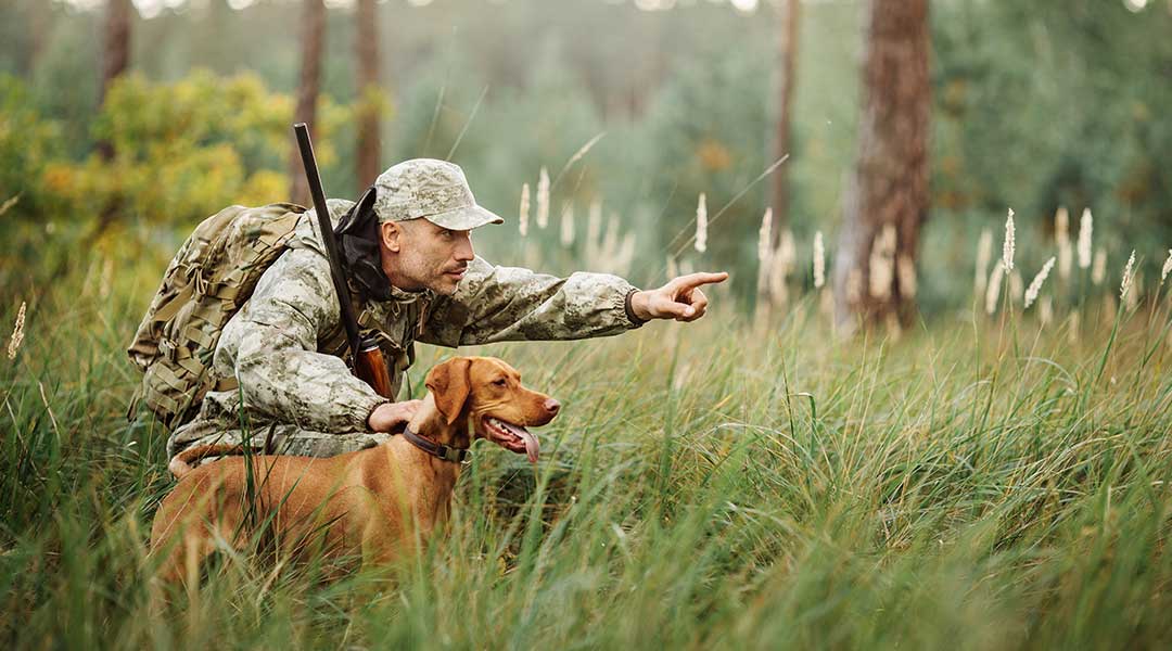Welcher Hund passt zu mir? Der Test von Passion Hund