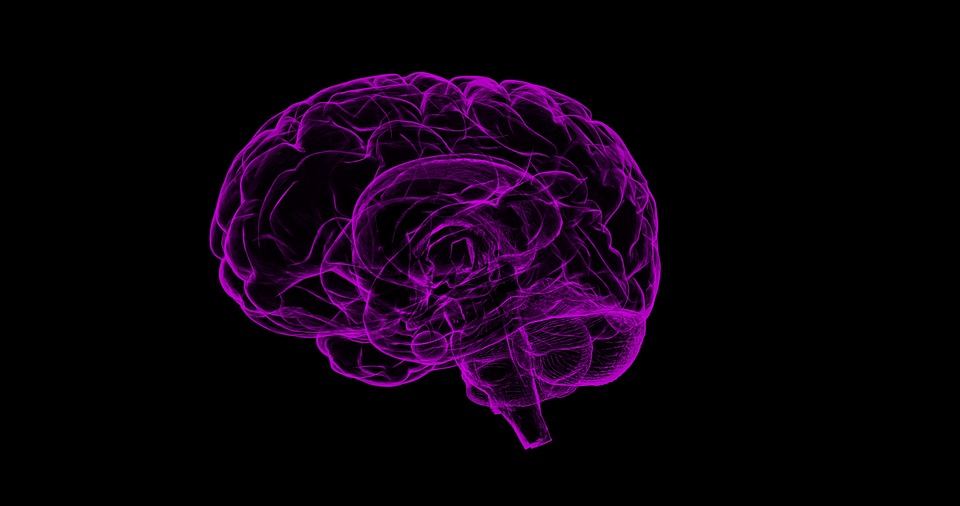 The Link Between Migraines, Epilepsy and Progesterone Passionate For