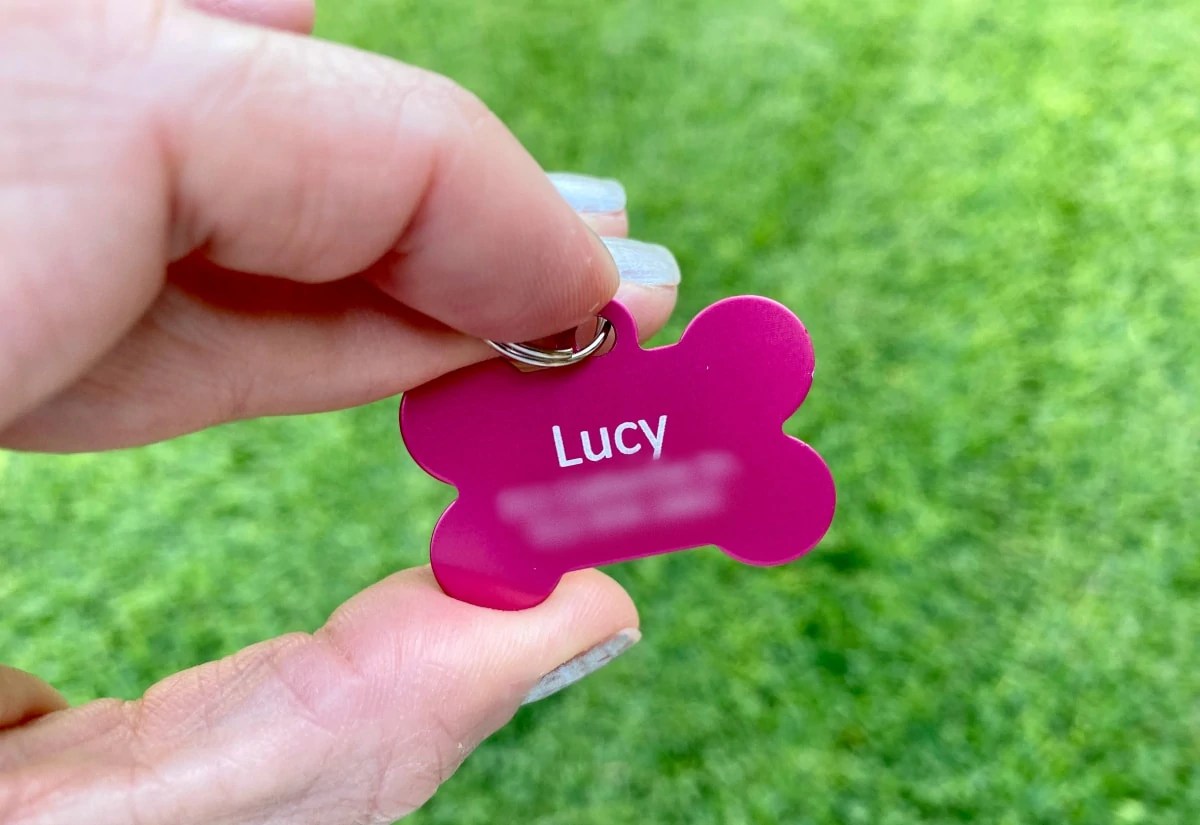 Personalized Pet ID Tags Just 3.29 Shipped!