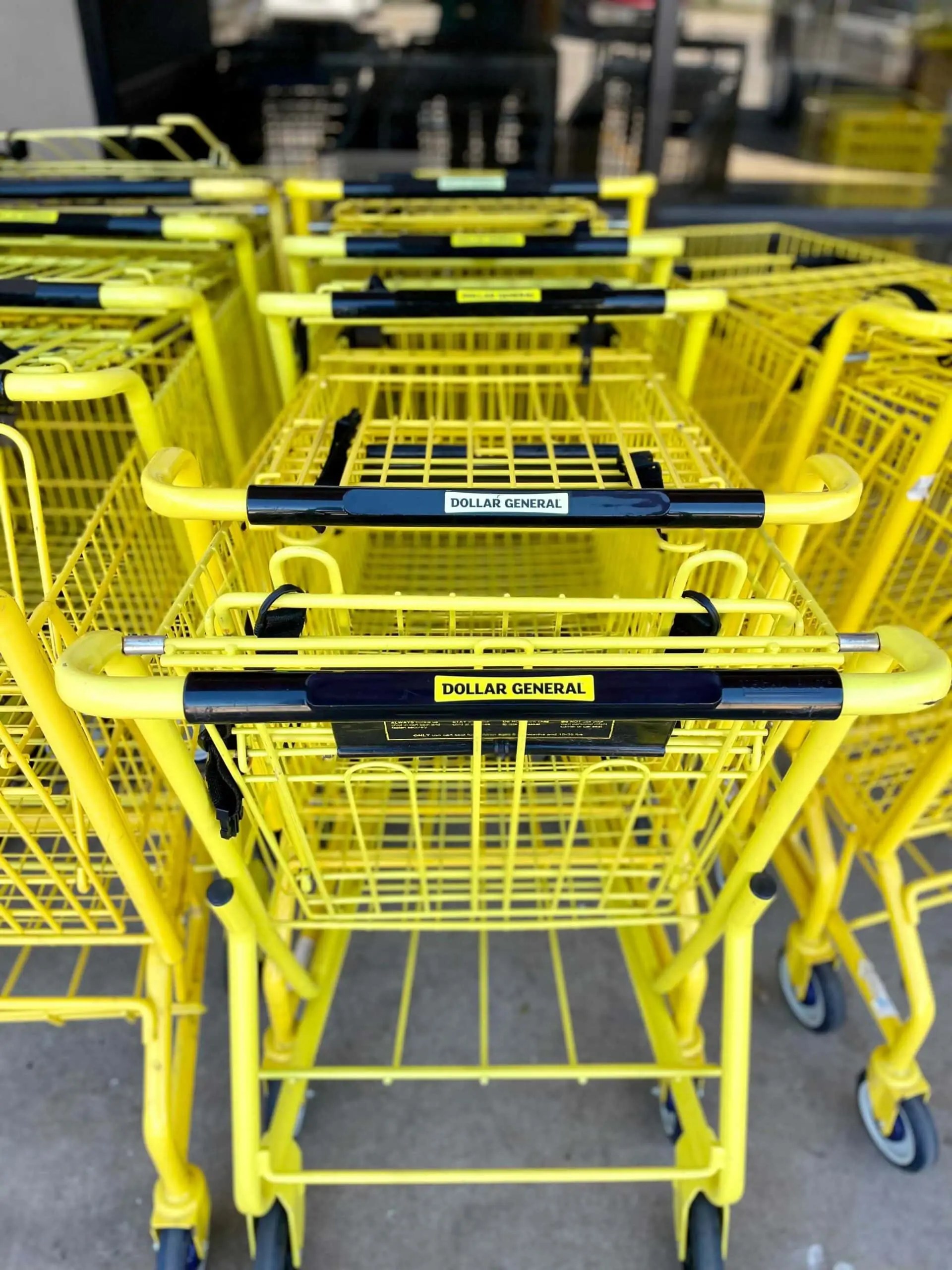 Dollar General Home Decor So Many CUTE Items for Spring!