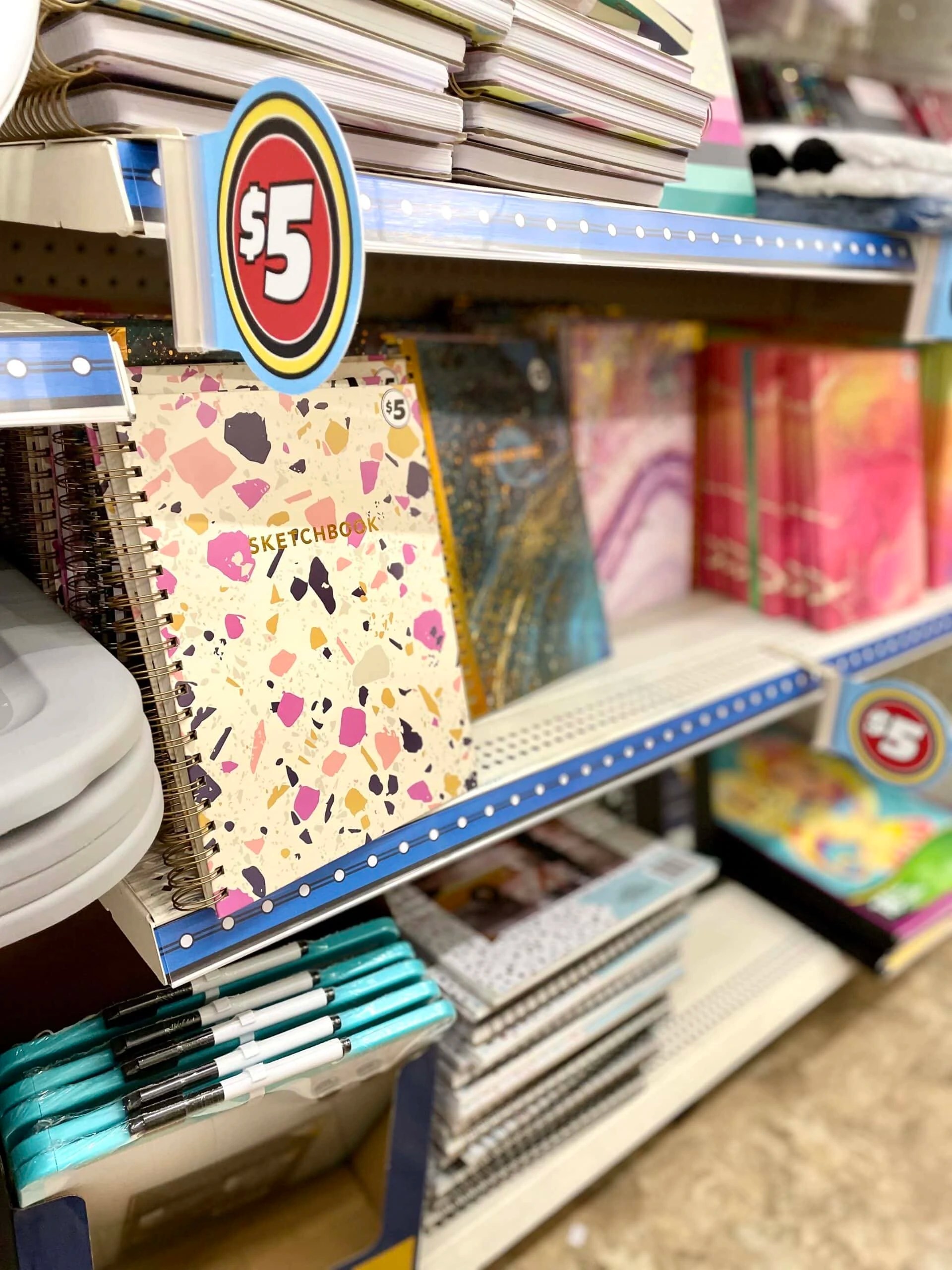 Dollar Tree Plus What to Know Before You Go!