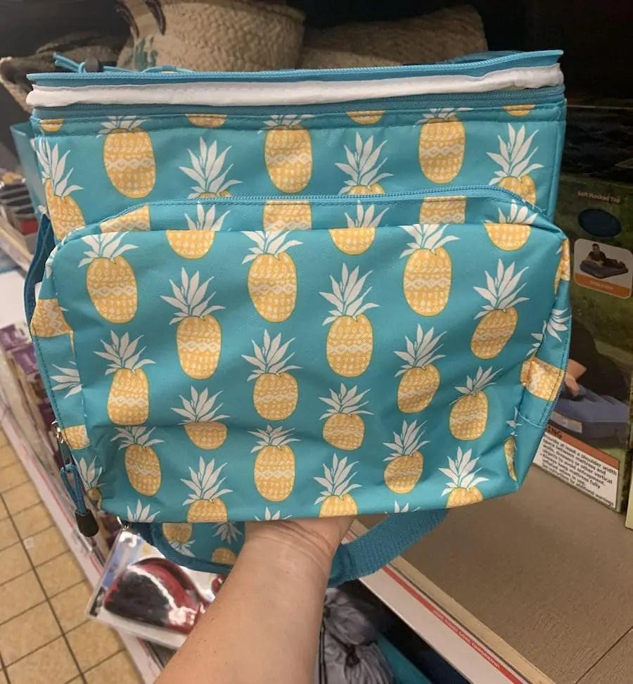 Snag This Cute Summer Cooler Bag at Aldi!