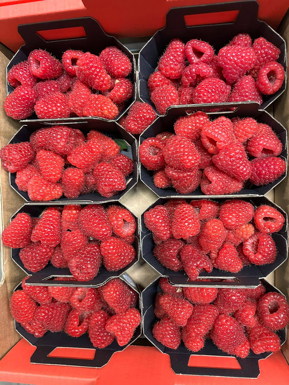 Belle Framboise douce et parfumé 🇫🇷 Passion saisons