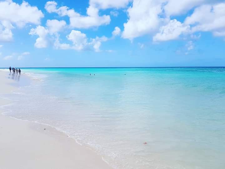 Tout ce qu'il faut savoir sur l'île d'Aruba