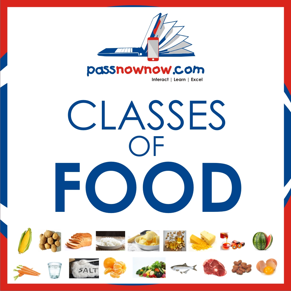 Biology Classes of Food