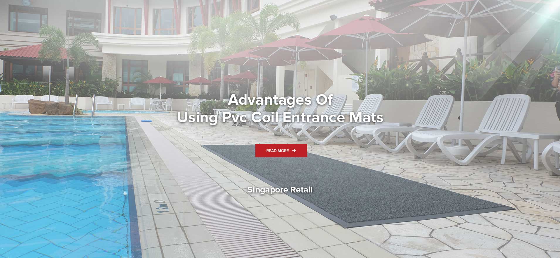 Passorex International