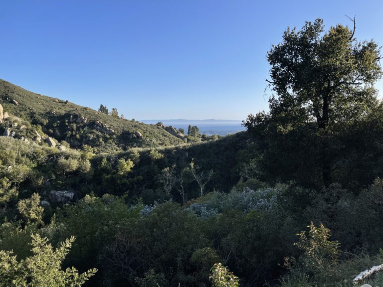 Passport to Santa Barbara Passports and Papers