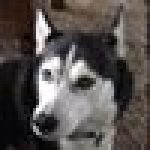 Fe Titan Script Pastebin roblox anti kick script pastebin roblox you can play