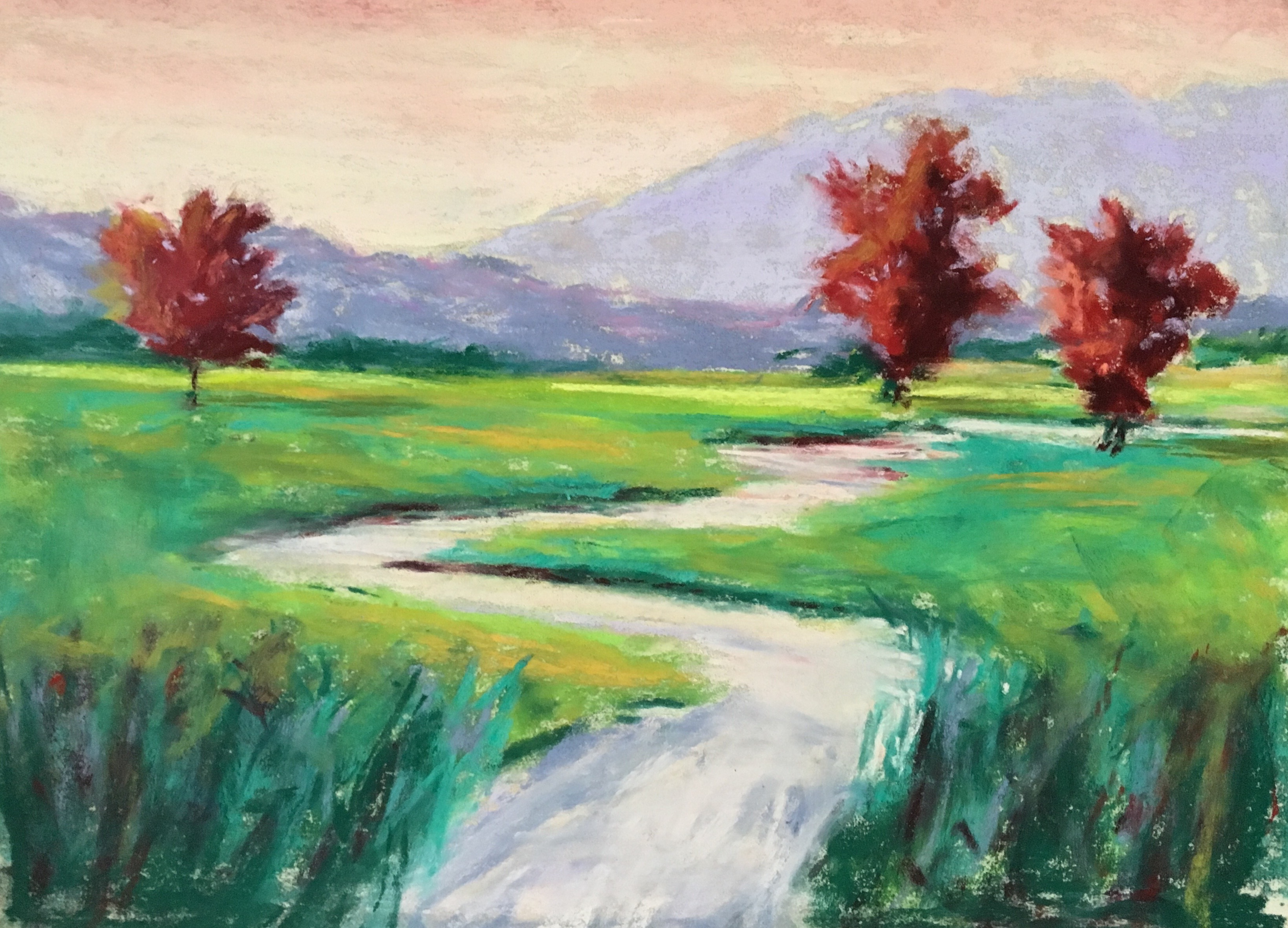 Kim Bird Pastels For The Serious Beginner Pastel Painting