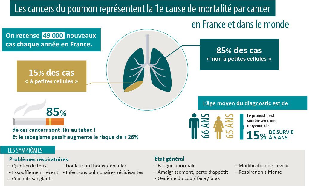 Cancer du poumon le comprendre pour mieux le guérir Institut