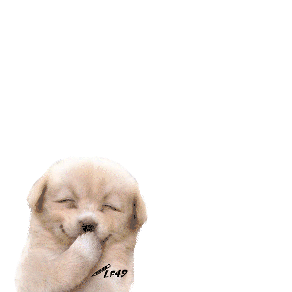 gifs rire Page 5