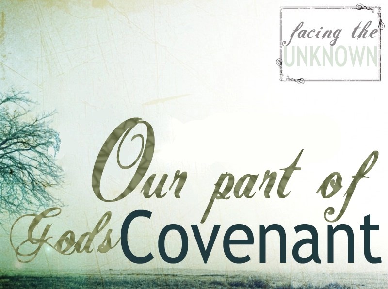 A definition of the word covenant A solemn and binding agreement