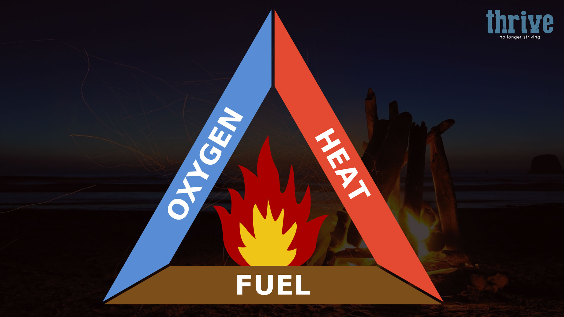 A Thriving Fire Robin Steele