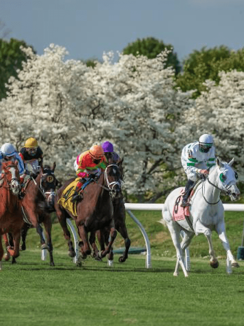 Keeneland Spring 2023 Keeneland Celebrates Springtime With April 8 Opening Of Spring Meet - Past The Wire