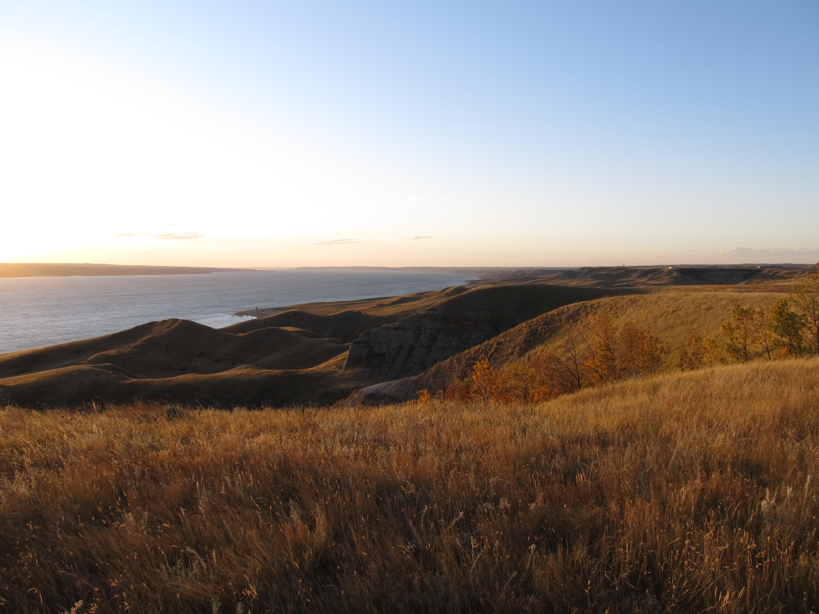 Lake Sakakawea Patablogonia