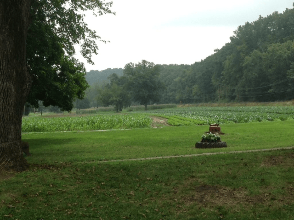 Five Bucks County Farms Preserved Through State Initiative Bensalem