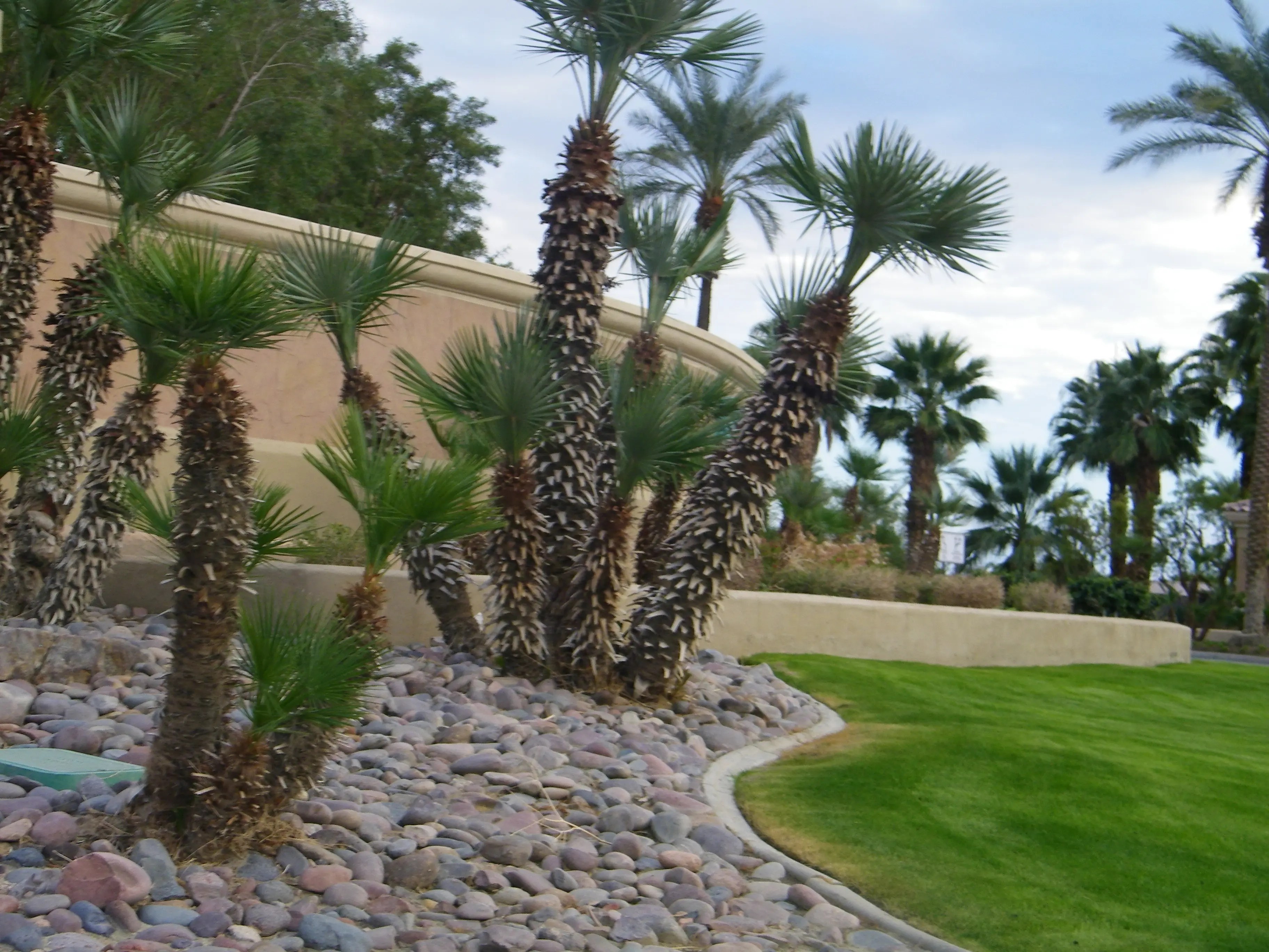 Annexation Study Cost Of Services For Sun City Outweighs Sales Tax Palm Desert, CA Patch