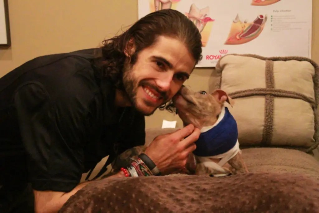 Joey Discharged From West Islip Animal Hospital West Islip, NY Patch