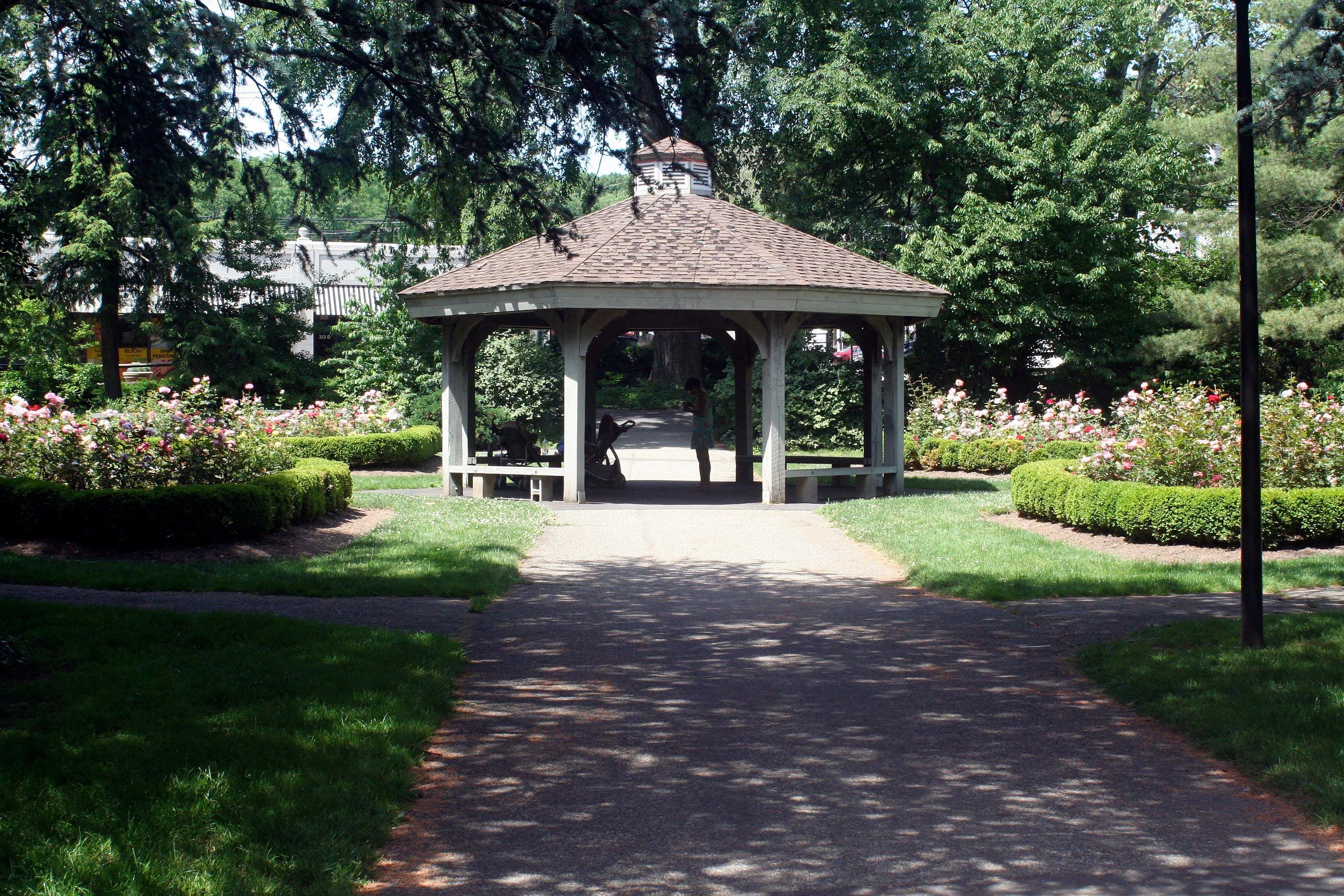 MillburnShort Hills Scenes Roses in Bloom Millburn, NJ Patch