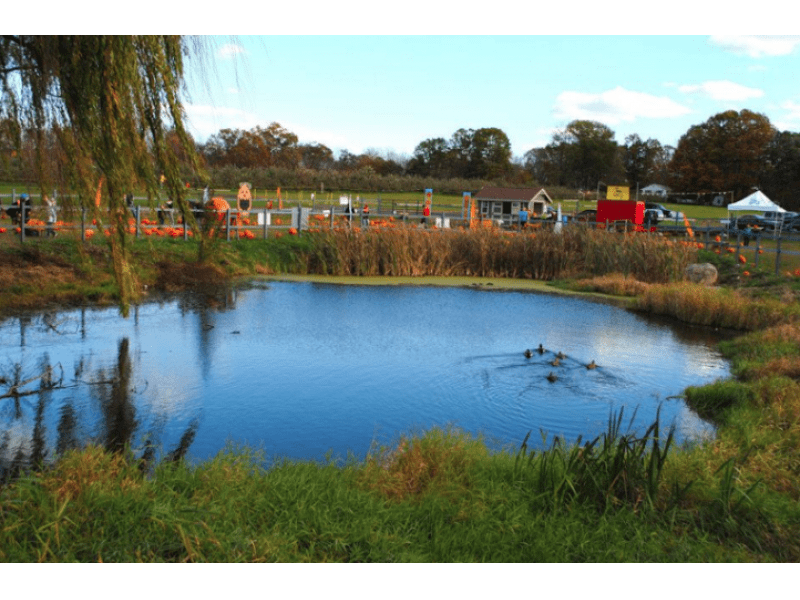 Best Places to Live in CT 2016 Where Does Wethersfield Rank? Wethersfield, CT Patch