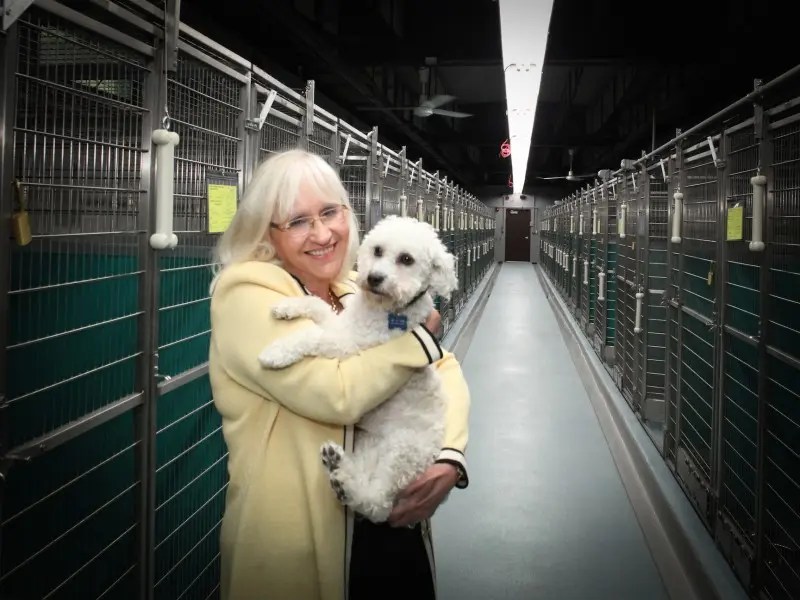 N. Hempstead Animal Shelter to Offer Free Microchips for Dogs, Cats