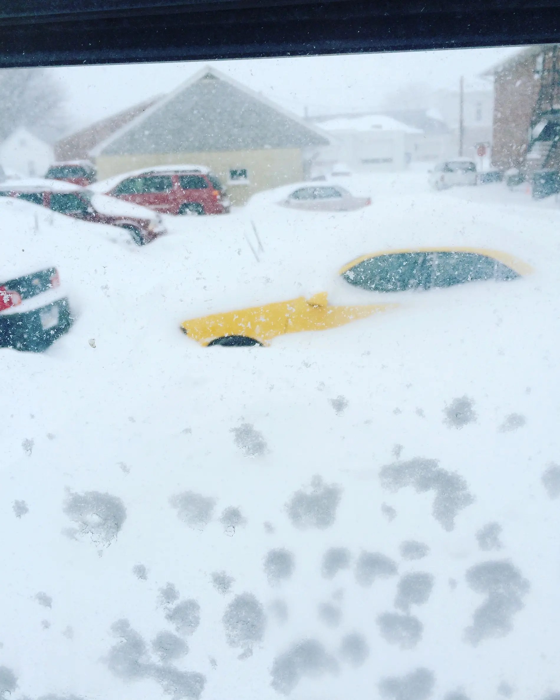 Lansdale Blizzard Gallery Snow Covers The Borough Montgomeryville