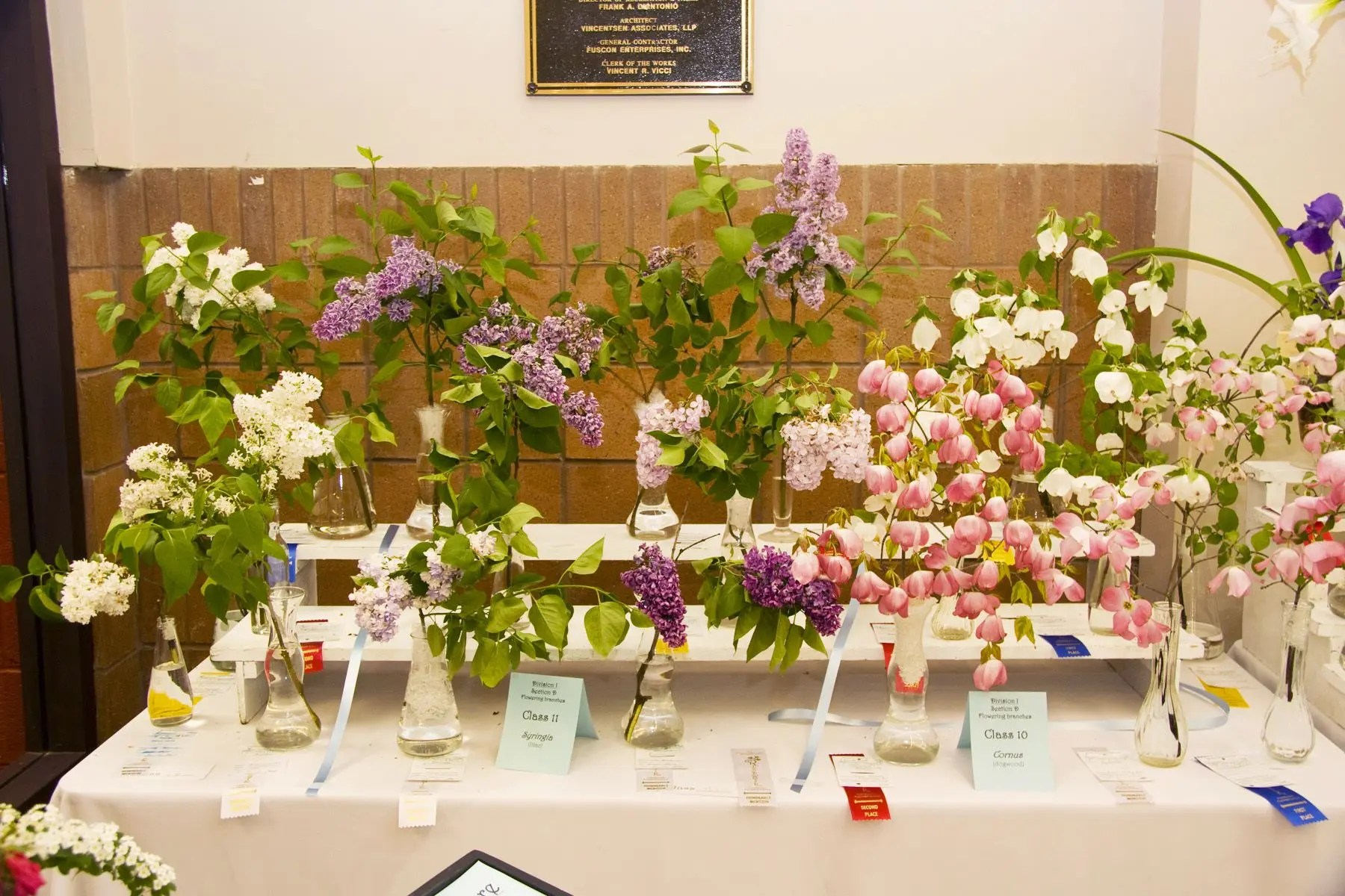 The Garden Club of Cranford Presents Oh, The Places You'll Go! A Small