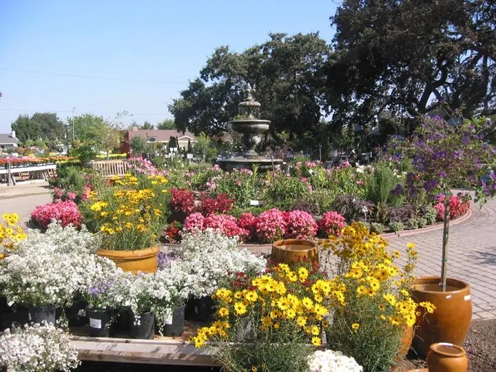 Get Inspired! Inspiration Day Gardening Classes at Alden Lane Nursery