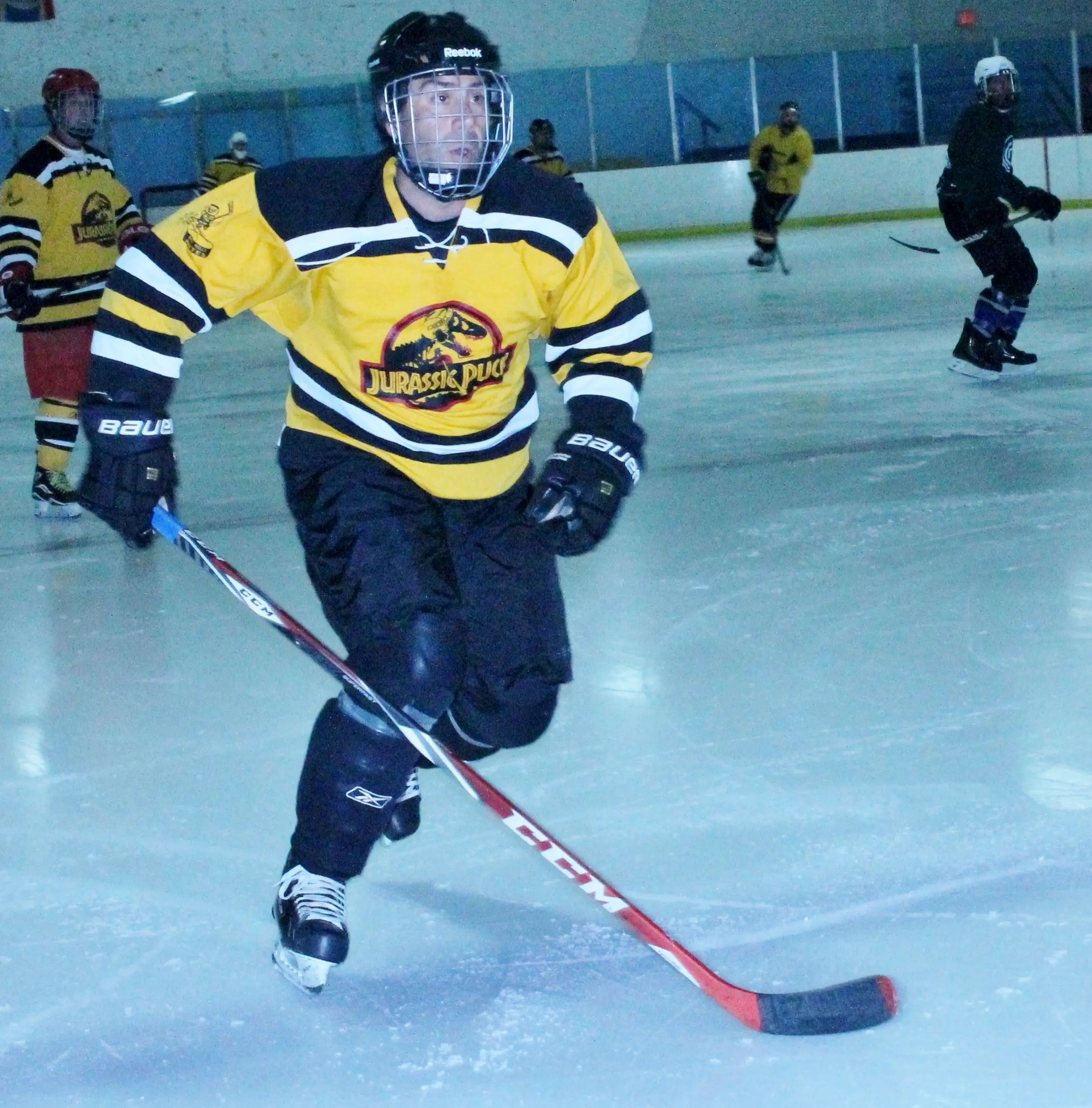 NEW LONG ISLAND SENIOR HOCKEY LEAGUE 50 and OVER Great Neck, NY Patch