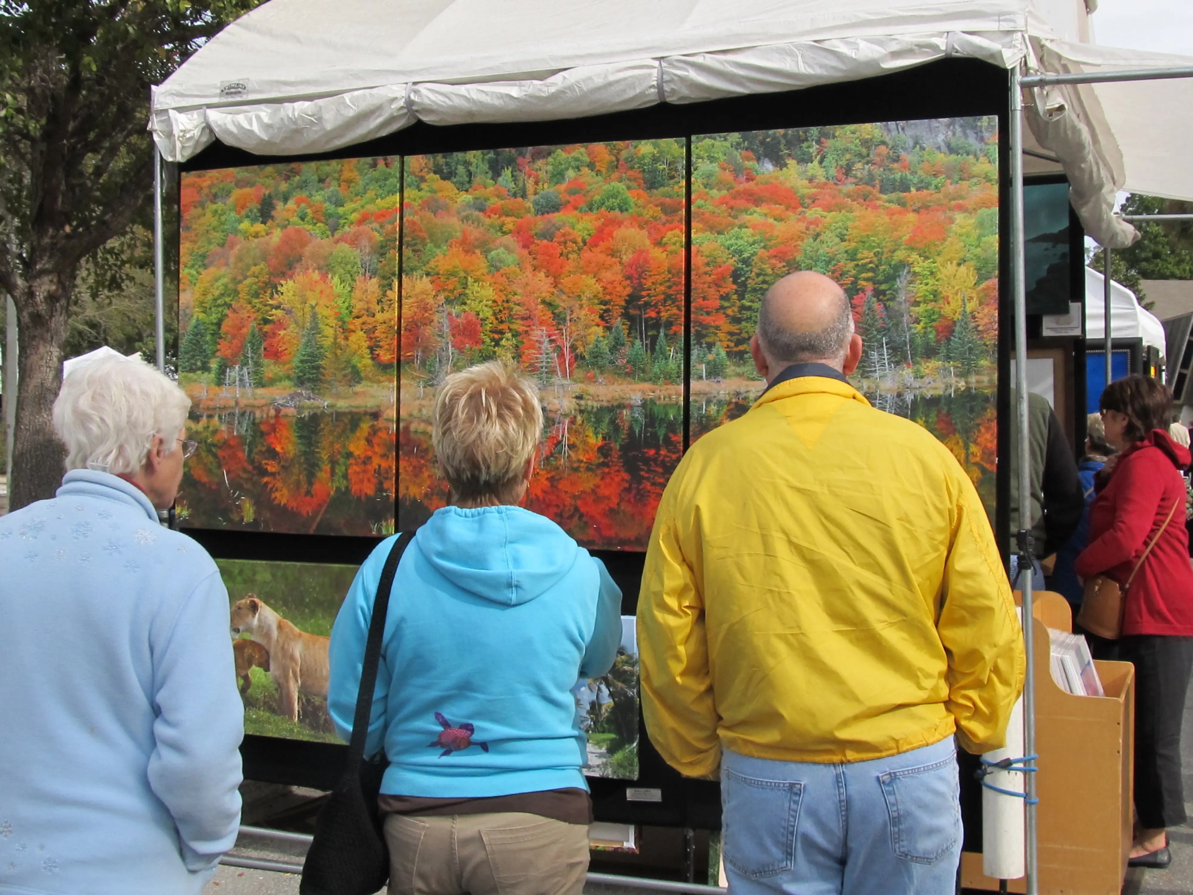 Dunedin Craft Festival Returns to Downtown Main Street November 15 & 16