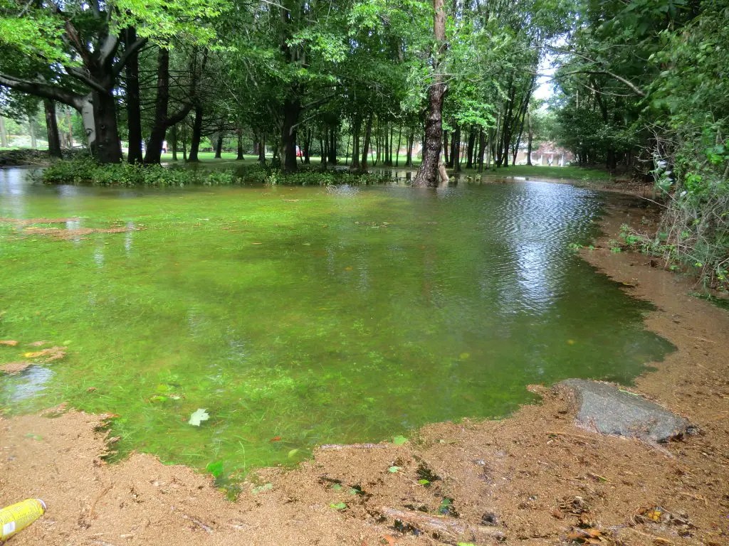 Many Near Lake Lucille and South Mountain Road Affected By Heavy
