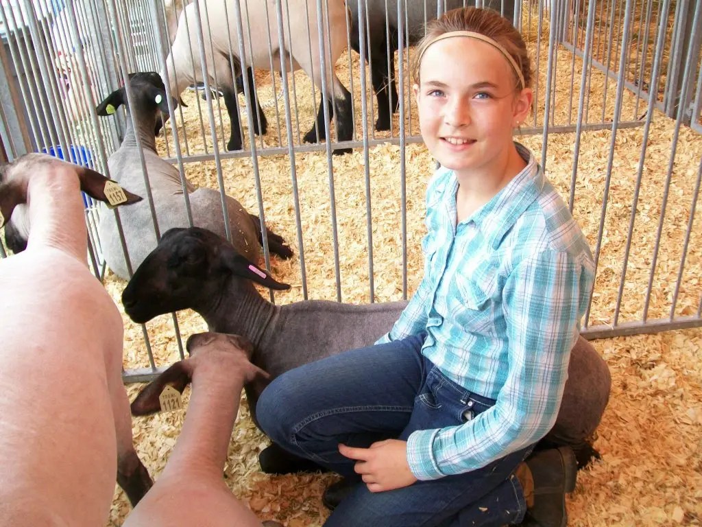 Families Bring Pets, Animals to Show at Waukesha County Fair Muskego