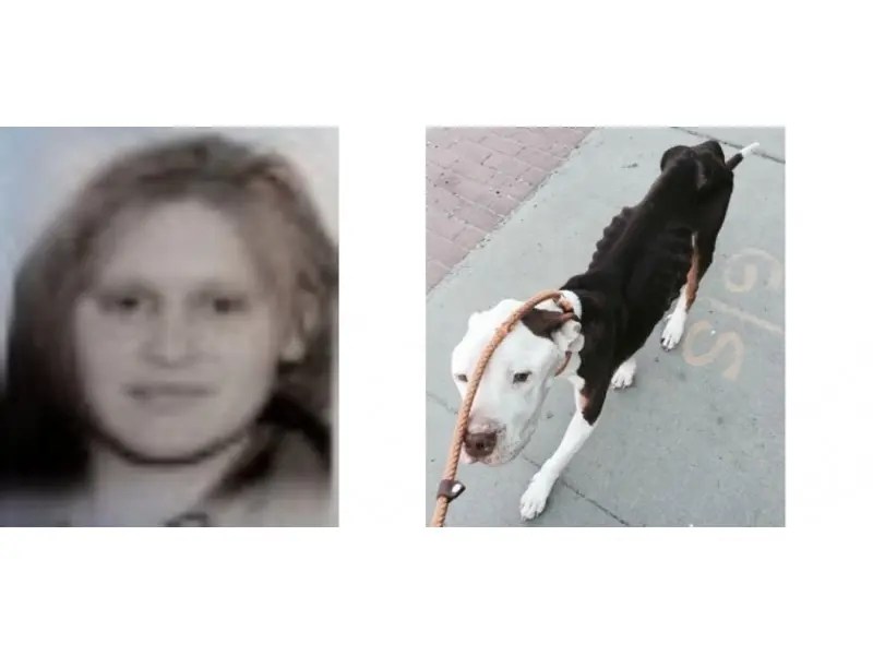 LI Crimes Woman Accused of Starving Dog, Three 7Eleven Stores Robbed