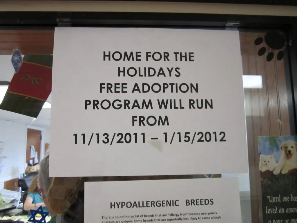 Free Cats and Dogs Available at Hempstead Animal Shelter through