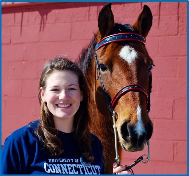 UConn Horse Auction and Tack & Equipment Tag Sale Mansfield, CT Patch