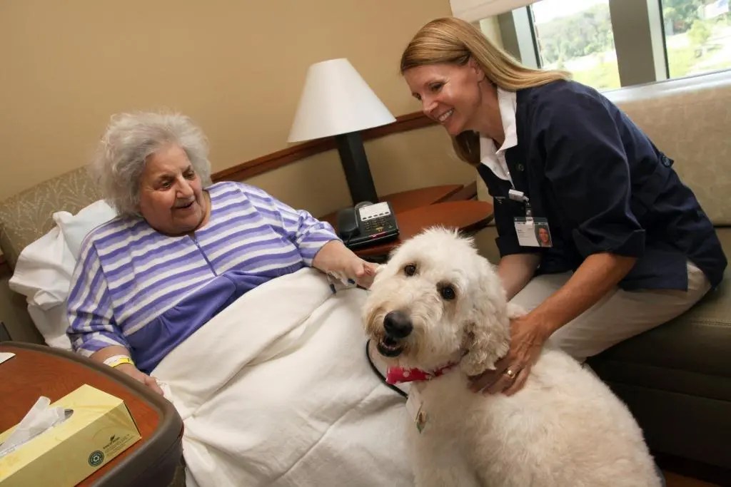 Still time for dogs (and their handlers) to join Elmhurst Hospital's