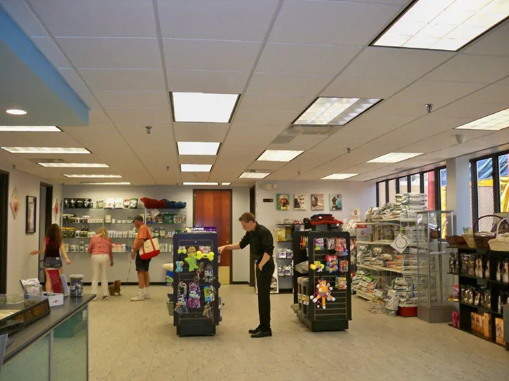 Massapequa Pet Vet Holds A Bash Massapequa, NY Patch