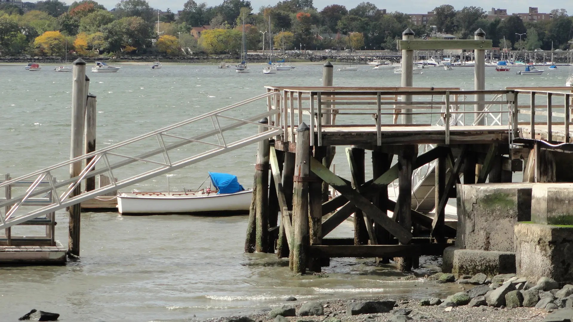 Douglas Manor Ranked Worst in City for Water Pollution, Report Says