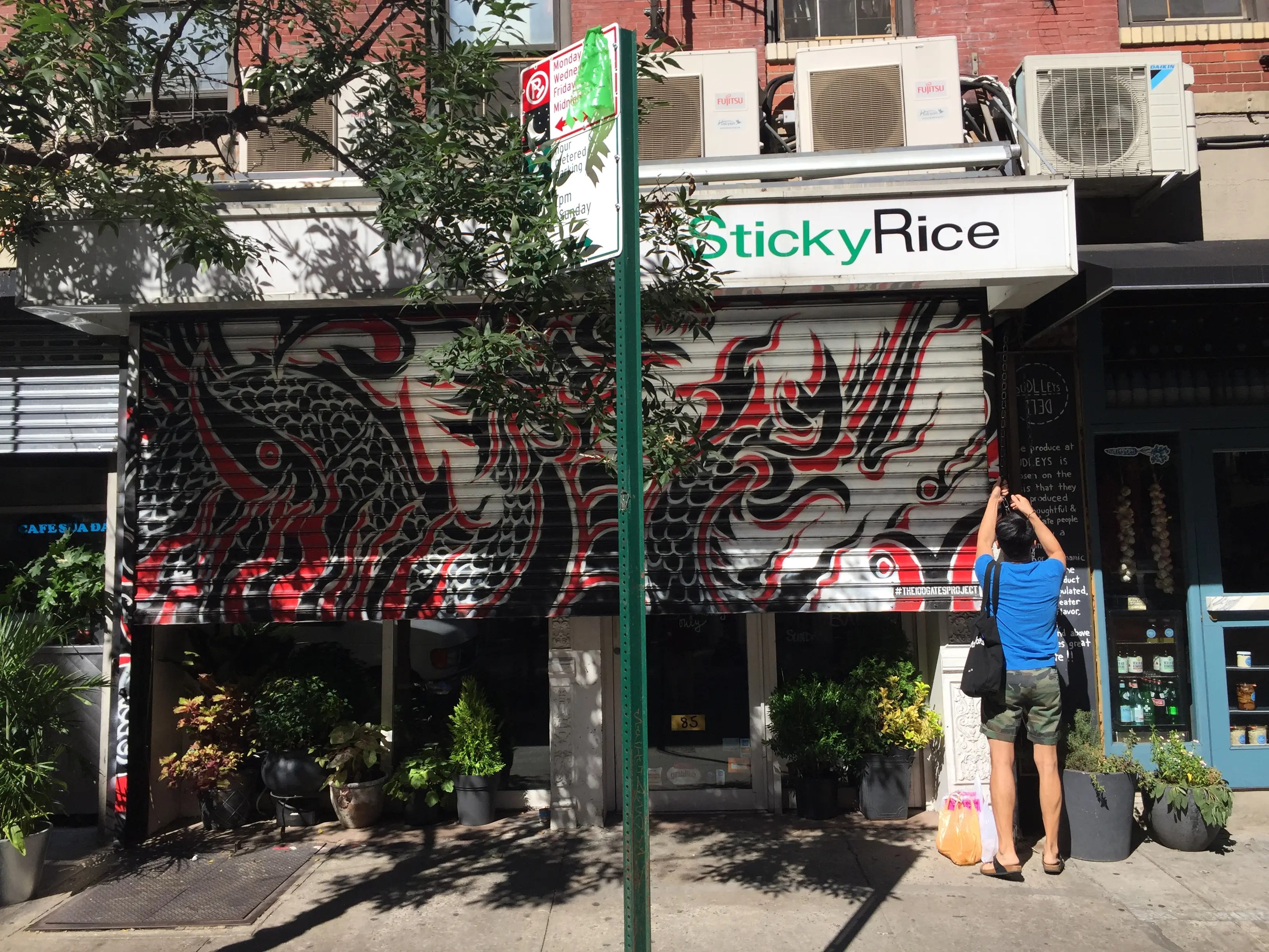 PHOTOS Murals Replace Illegal Graffiti in the Lower East Side Lower