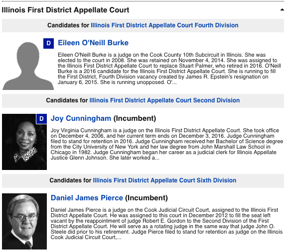 Oak Park This Is What Your Ballot Will Look Like In November Oak